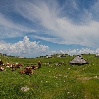 Velika Planina
